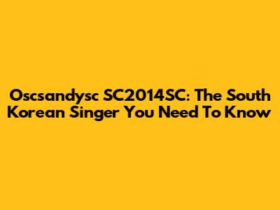Oscsandysc SC2014SC: The South Korean Singer You Need To Know