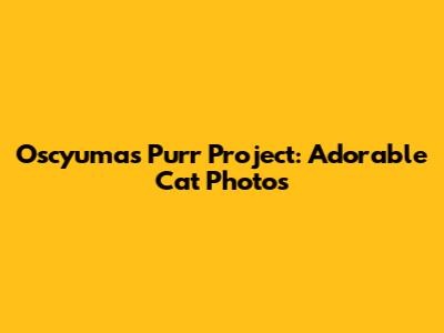 Oscyumas Purr Project: Adorable Cat Photos
