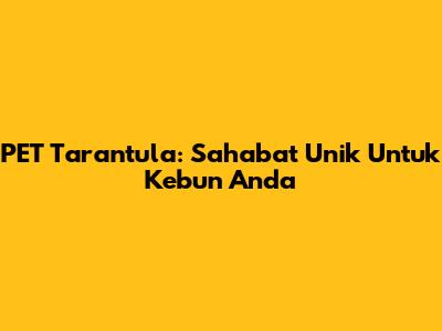 PET Tarantula: Sahabat Unik Untuk Kebun Anda