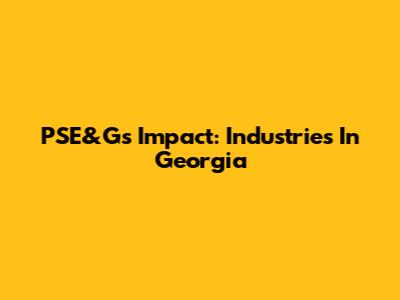 PSE&G's Impact: Industries In Georgia
