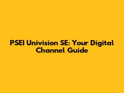 PSEI Univision SE: Your Digital Channel Guide