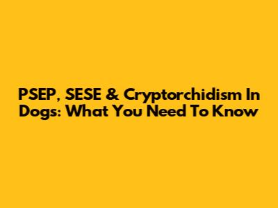 PSEP, SESE & Cryptorchidism In Dogs: What You Need To Know