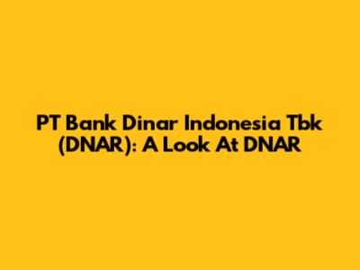 PT Bank Dinar Indonesia Tbk (DNAR): A Look At DNAR