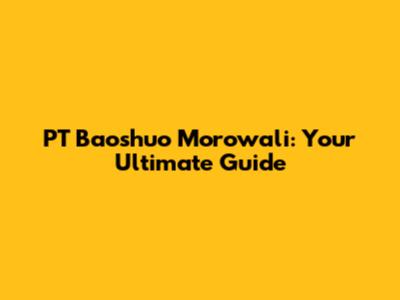PT Baoshuo Morowali: Your Ultimate Guide