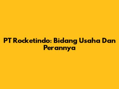 PT Rocketindo: Bidang Usaha Dan Perannya