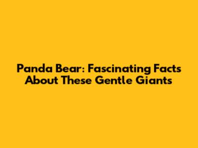 Panda Bear: Fascinating Facts About These Gentle Giants