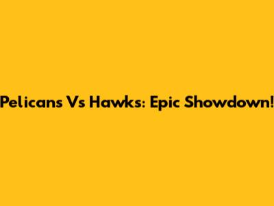 Pelicans Vs Hawks: Epic Showdown!