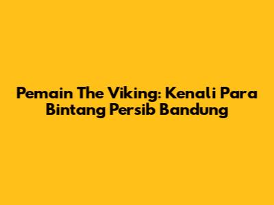 Pemain The Viking: Kenali Para Bintang Persib Bandung