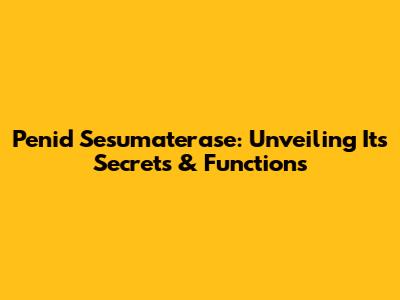 Penid Sesumaterase: Unveiling Its Secrets & Functions