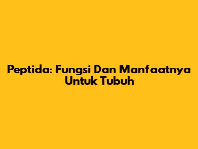 Peptida: Fungsi Dan Manfaatnya Untuk Tubuh