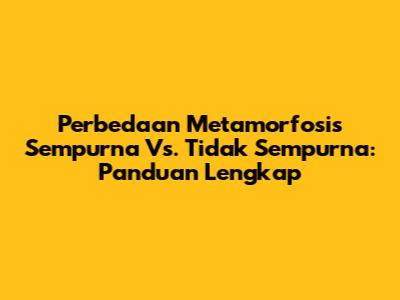 Perbedaan Metamorfosis Sempurna Vs. Tidak Sempurna: Panduan Lengkap