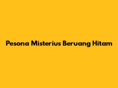 Pesona Misterius Beruang Hitam