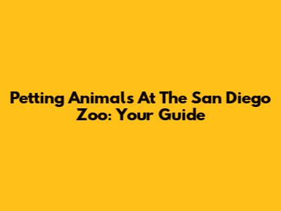 Petting Animals At The San Diego Zoo: Your Guide