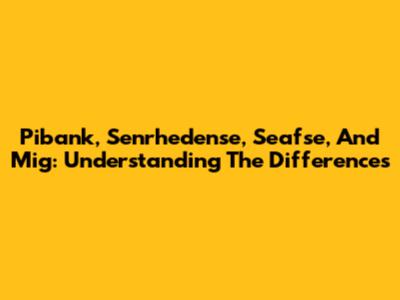Pibank, Senrhedense, Seafse, And Mig: Understanding The Differences