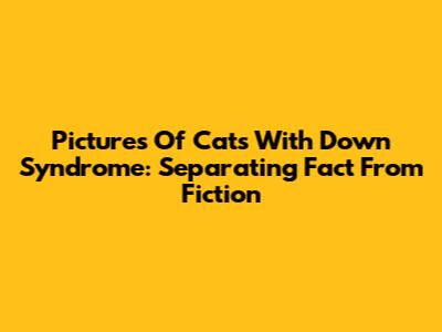 Pictures Of Cats With Down Syndrome: Separating Fact From Fiction