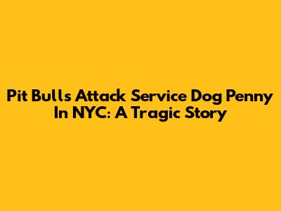 Pit Bulls Attack Service Dog Penny In NYC: A Tragic Story