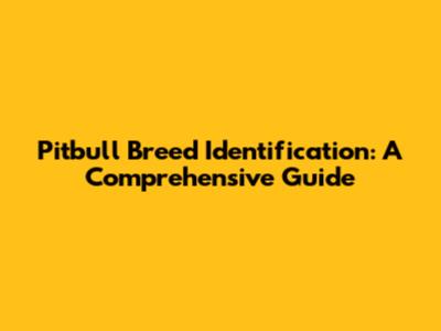 Pitbull Breed Identification: A Comprehensive Guide