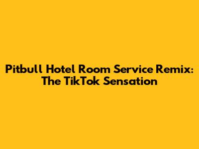 Pitbull Hotel Room Service Remix: The TikTok Sensation