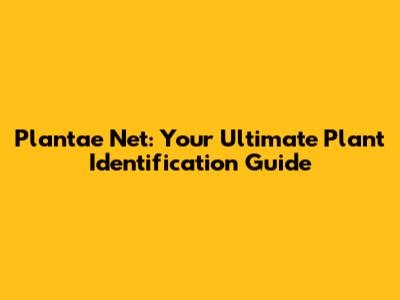 Plantae Net: Your Ultimate Plant Identification Guide