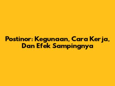 Postinor: Kegunaan, Cara Kerja, Dan Efek Sampingnya