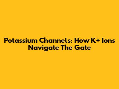 Potassium Channels: How K+ Ions Navigate The Gate
