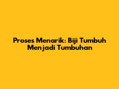 Proses Menarik: Biji Tumbuh Menjadi Tumbuhan