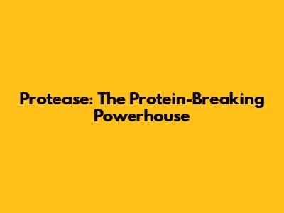 Protease: The Protein-Breaking Powerhouse