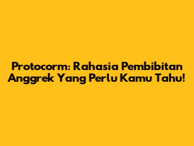 Protocorm: Rahasia Pembibitan Anggrek Yang Perlu Kamu Tahu!