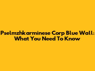 Pselmzhkarminese Corp Blue Wall: What You Need To Know