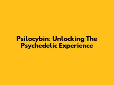 Psilocybin: Unlocking The Psychedelic Experience