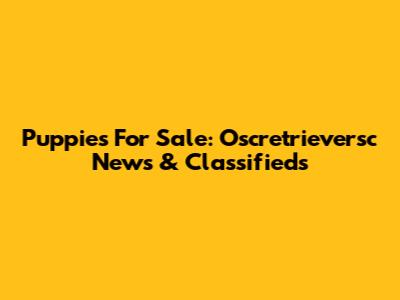 Puppies For Sale: Oscretrieversc News & Classifieds