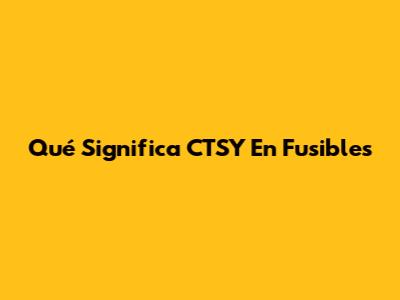 Qué Significa CTSY En Fusibles