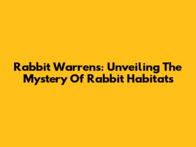 Rabbit Warrens: Unveiling The Mystery Of Rabbit Habitats