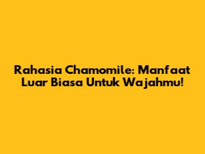 Rahasia Chamomile: Manfaat Luar Biasa Untuk Wajahmu!