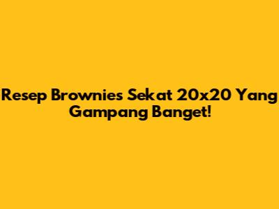 Resep Brownies Sekat 20x20 Yang Gampang Banget!