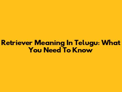 Retriever Meaning In Telugu: What You Need To Know