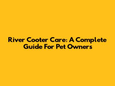 River Cooter Care: A Complete Guide For Pet Owners