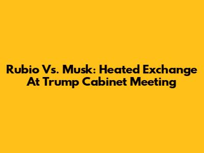 Rubio Vs. Musk: Heated Exchange At Trump Cabinet Meeting