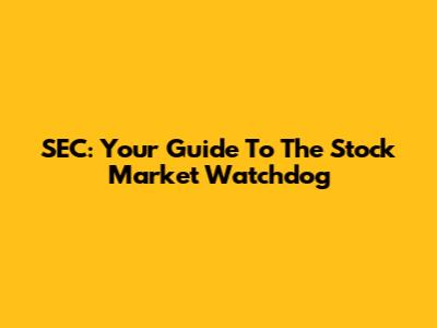 SEC: Your Guide To The Stock Market Watchdog