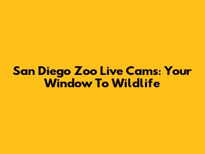 San Diego Zoo Live Cams: Your Window To Wildlife