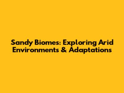 Sandy Biomes: Exploring Arid Environments & Adaptations