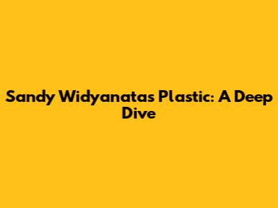 Sandy Widyanata's Plastic: A Deep Dive