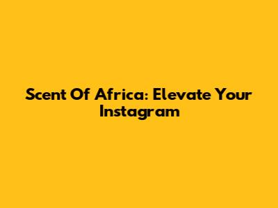 Scent Of Africa: Elevate Your Instagram