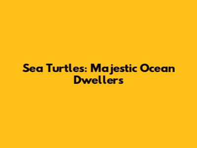 Sea Turtles: Majestic Ocean Dwellers