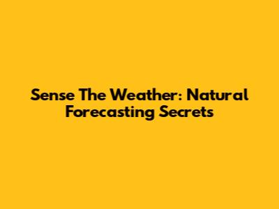 Sense The Weather: Natural Forecasting Secrets