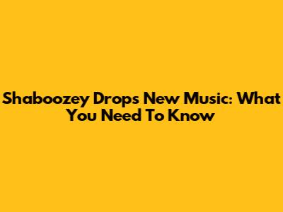 Shaboozey Drops New Music: What You Need To Know