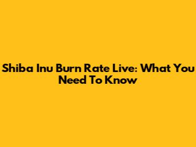 Shiba Inu Burn Rate Live: What You Need To Know