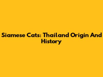 Siamese Cats: Thailand Origin And History