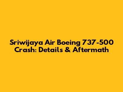 Sriwijaya Air Boeing 737-500 Crash: Details & Aftermath