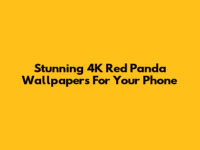 Stunning 4K Red Panda Wallpapers For Your Phone